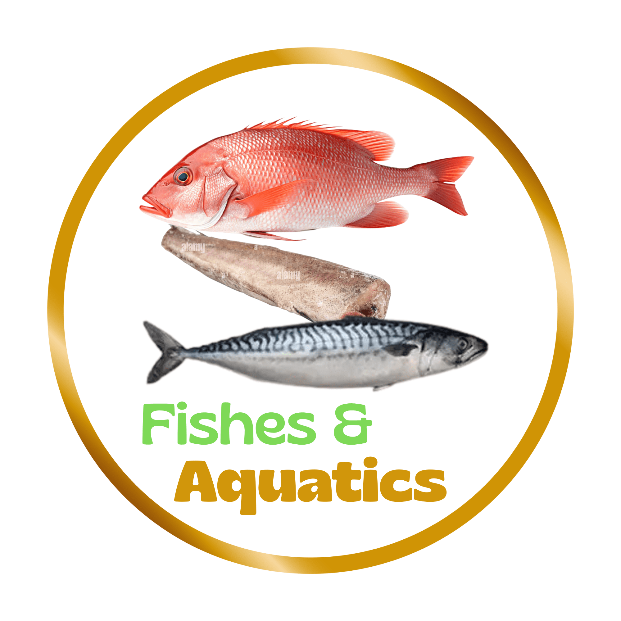 Fish and Aquatic